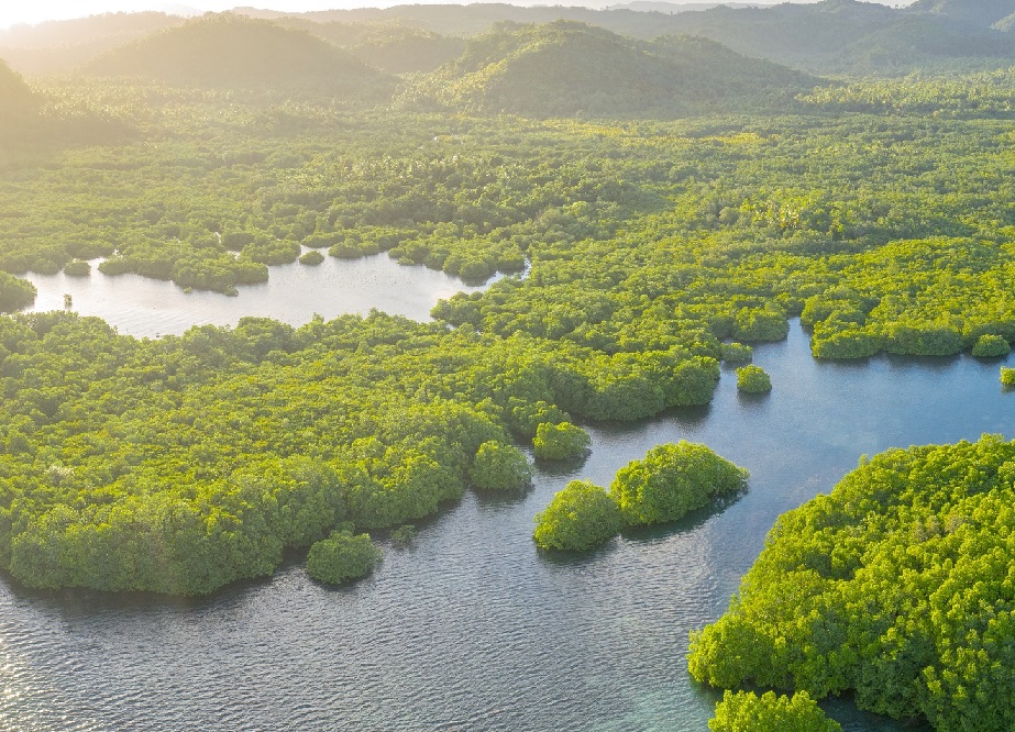 Improving water security in watersheds throughout Latin America